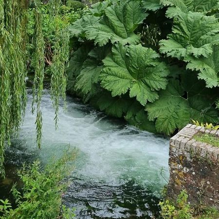 Millstream House Villa Winchester Bagian luar foto
